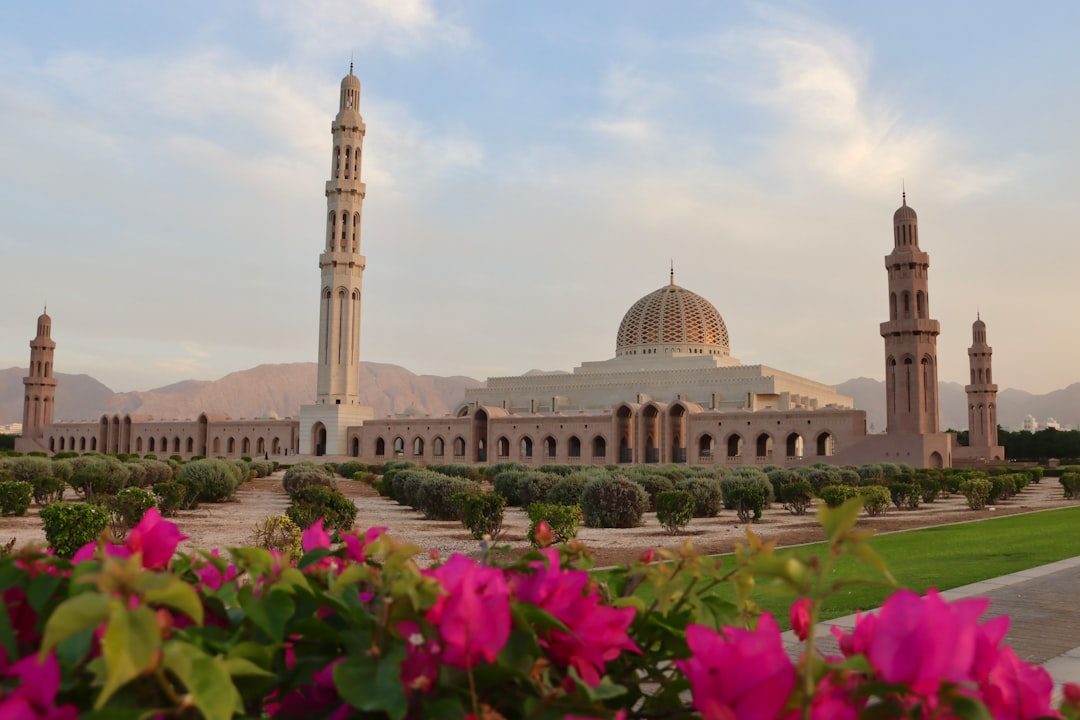 Oman Road Trip