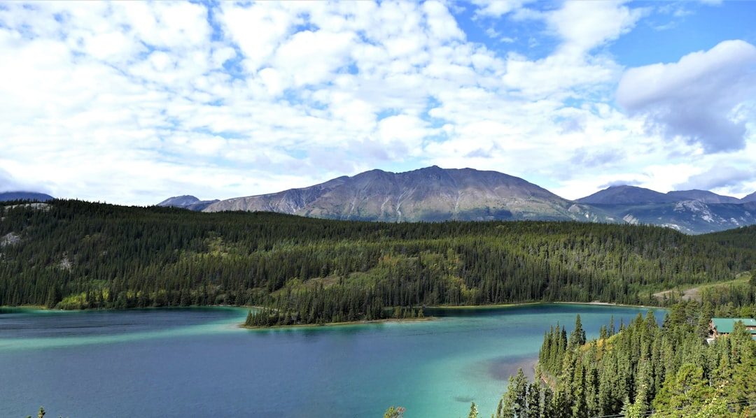 Yukon Aurora and Gold Rush