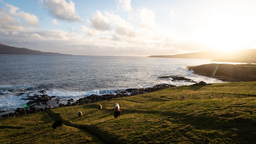 Faroe Islands Explorer
