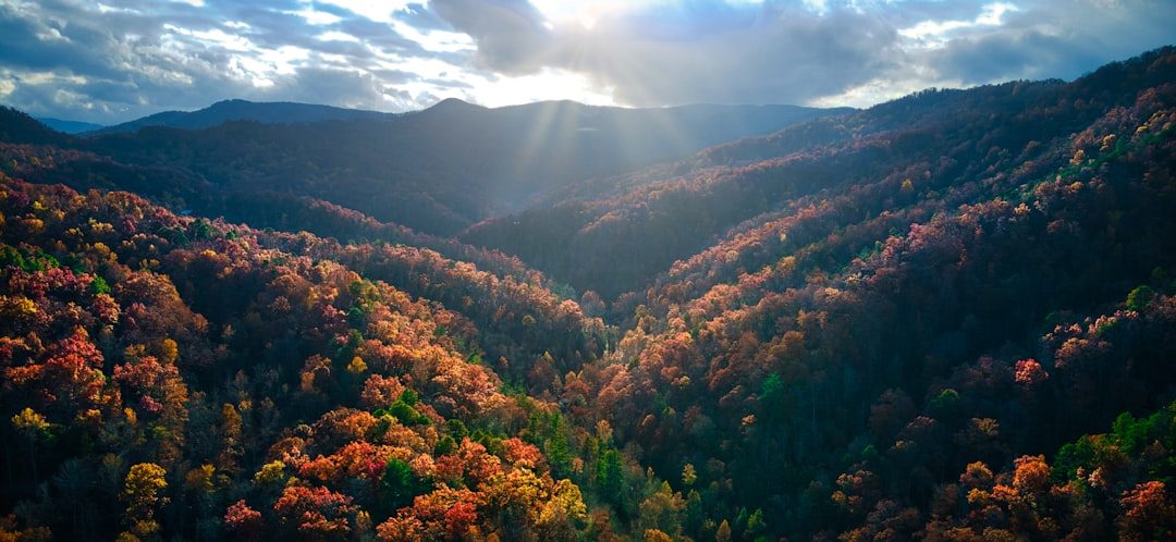 Blue Ridge Parkway and the Smokies
