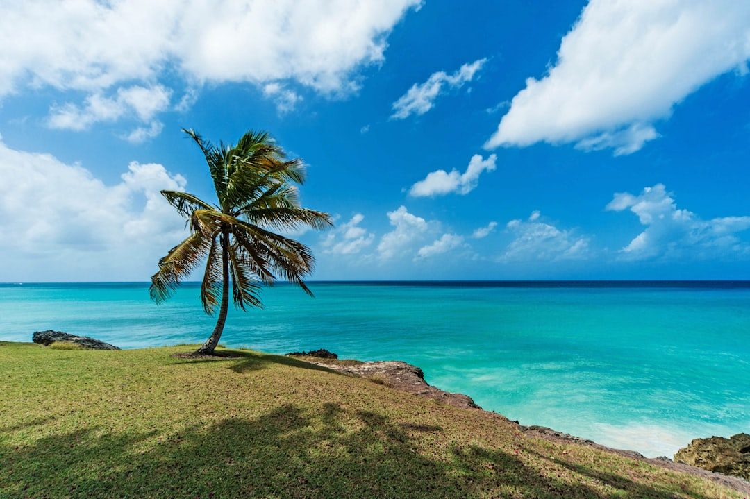 Barbados: Surf and the South Coast