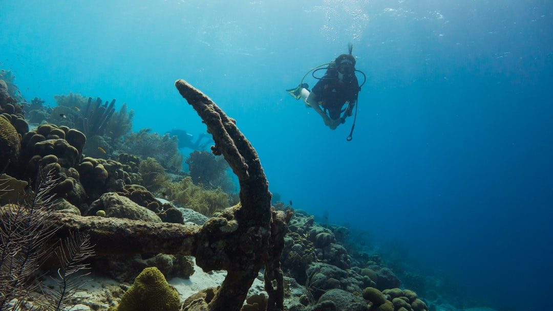 Bonaire: Shore Diving Capital