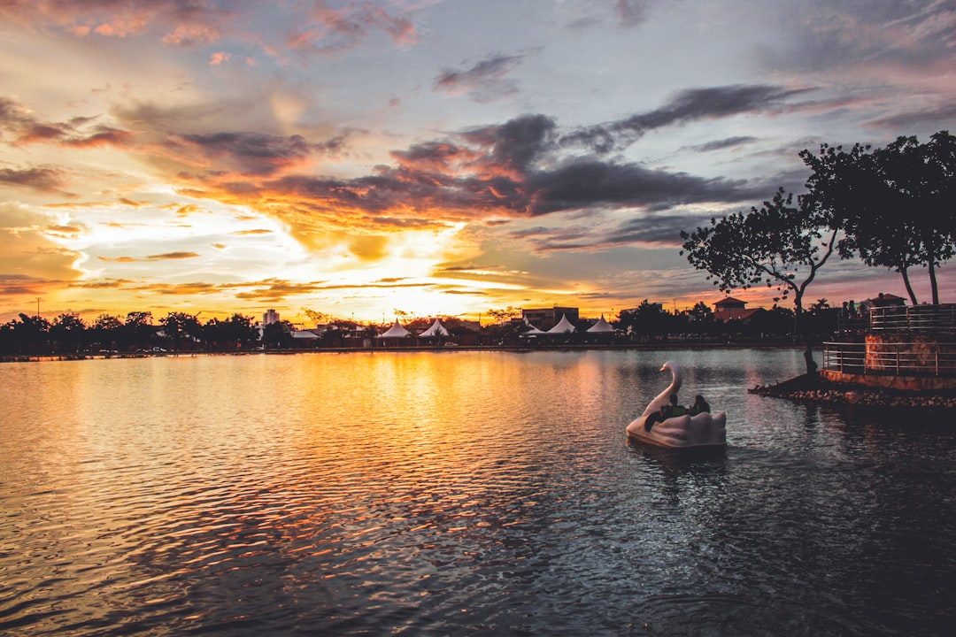 Brazil: Pantanal Wildlife