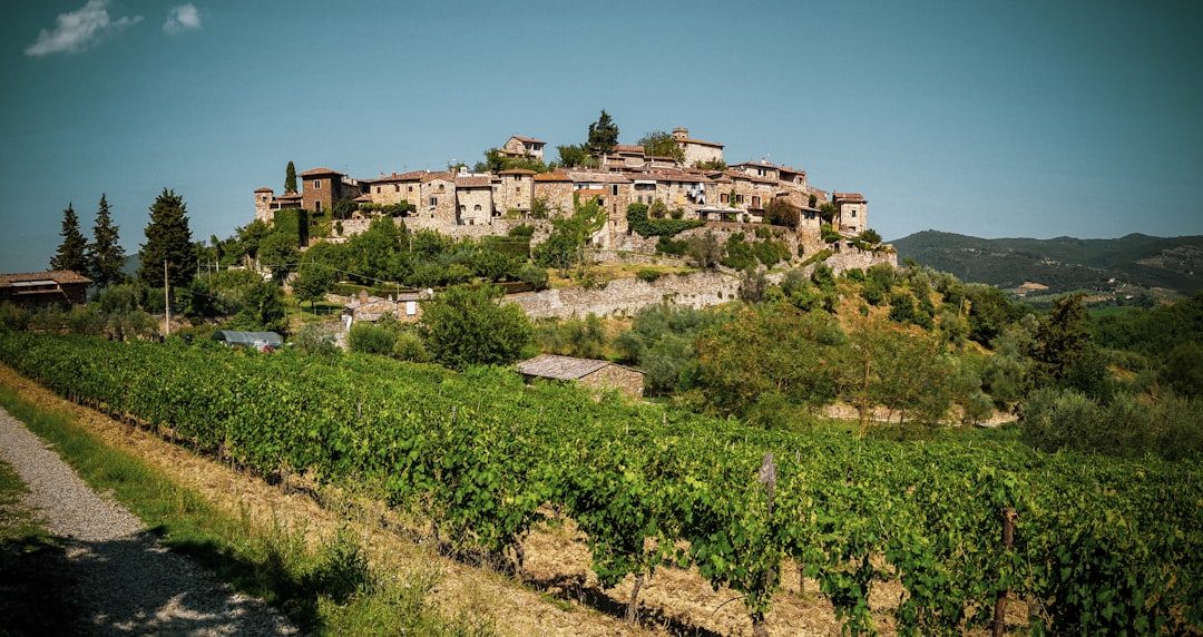 Autumn in Tuscany: the Chianti Harvest