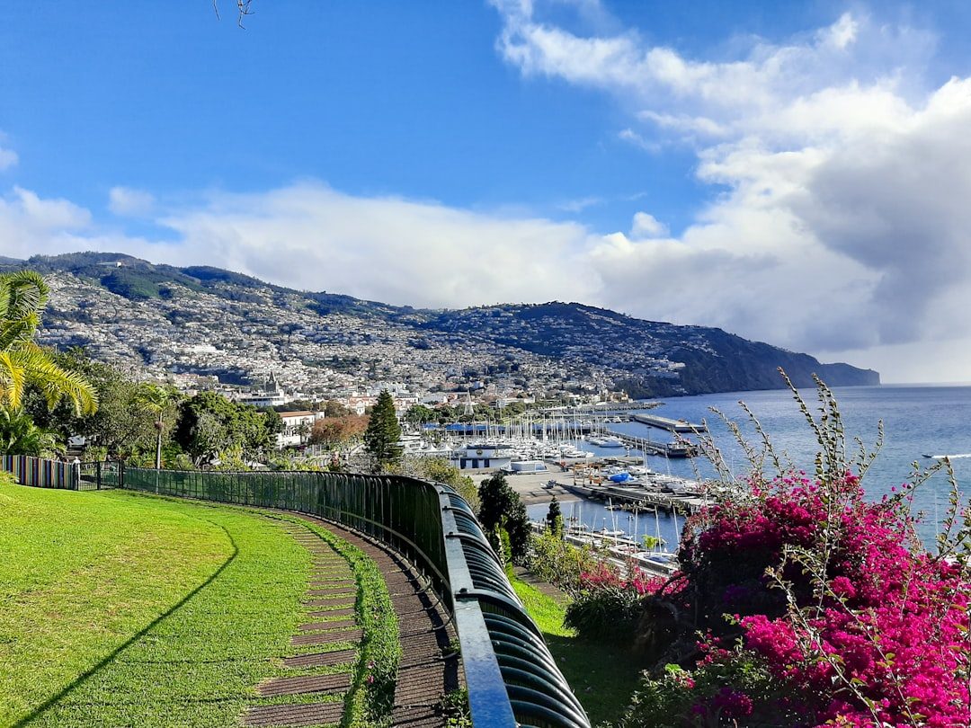 Madeira and the Flower Festival