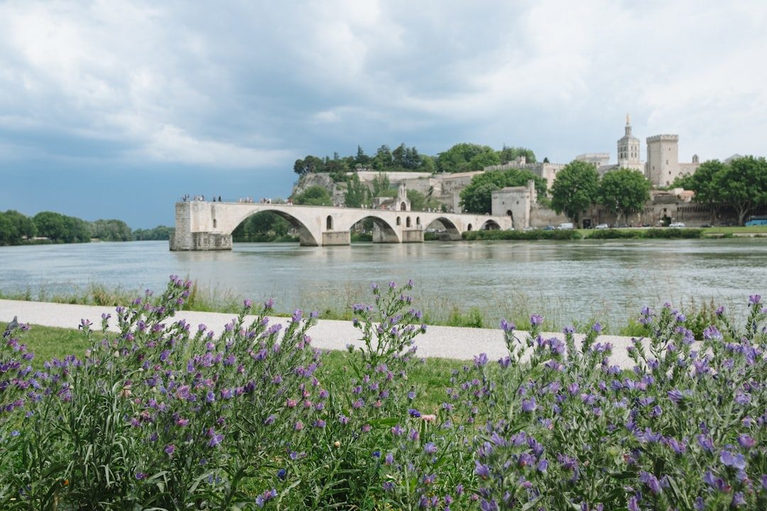 Spring in Provence and the Luberon