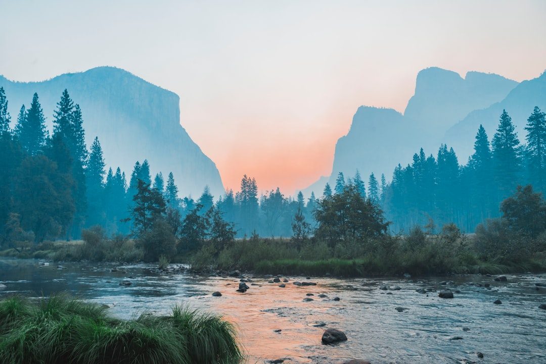 Summer in the California National Parks