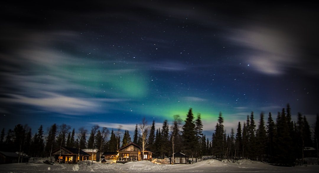 Swedish Lapland: Ice and Husky