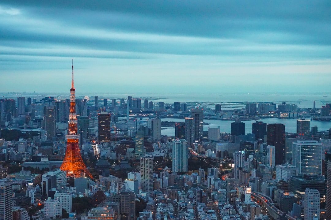 Tokyo Winter Illuminations and New Year